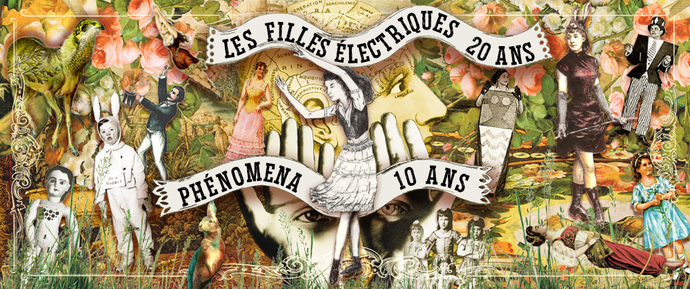 Bannière du 10e Festival Phénomena, 20 ans des Filles électriques, collage de personnages, d'animaux et de fleurs